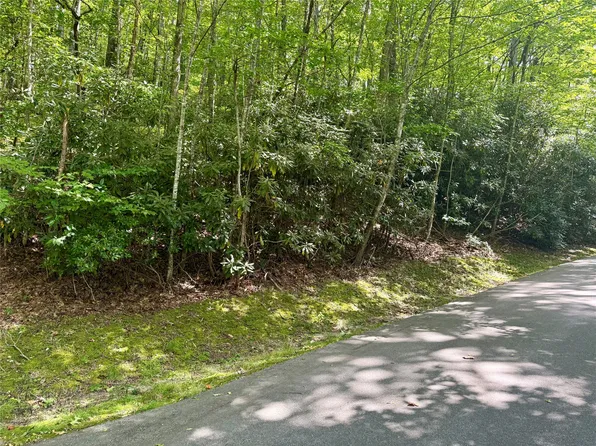 115 Black Oak Drive, Sapphire, NC 28774
