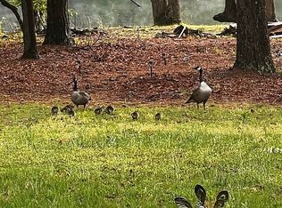 16452 Lanier Rd, South Prince George, VA 23805