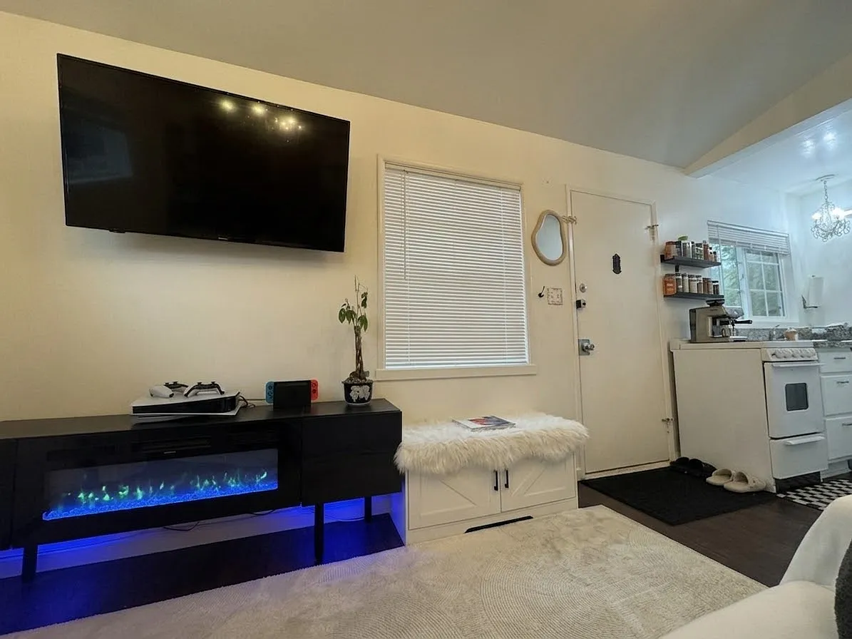 1 bed, 550 sqft, $2,100 — Photo 3