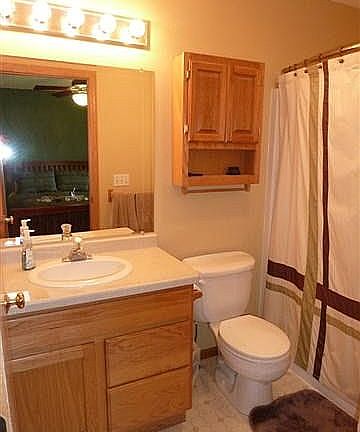 Master bathroom 