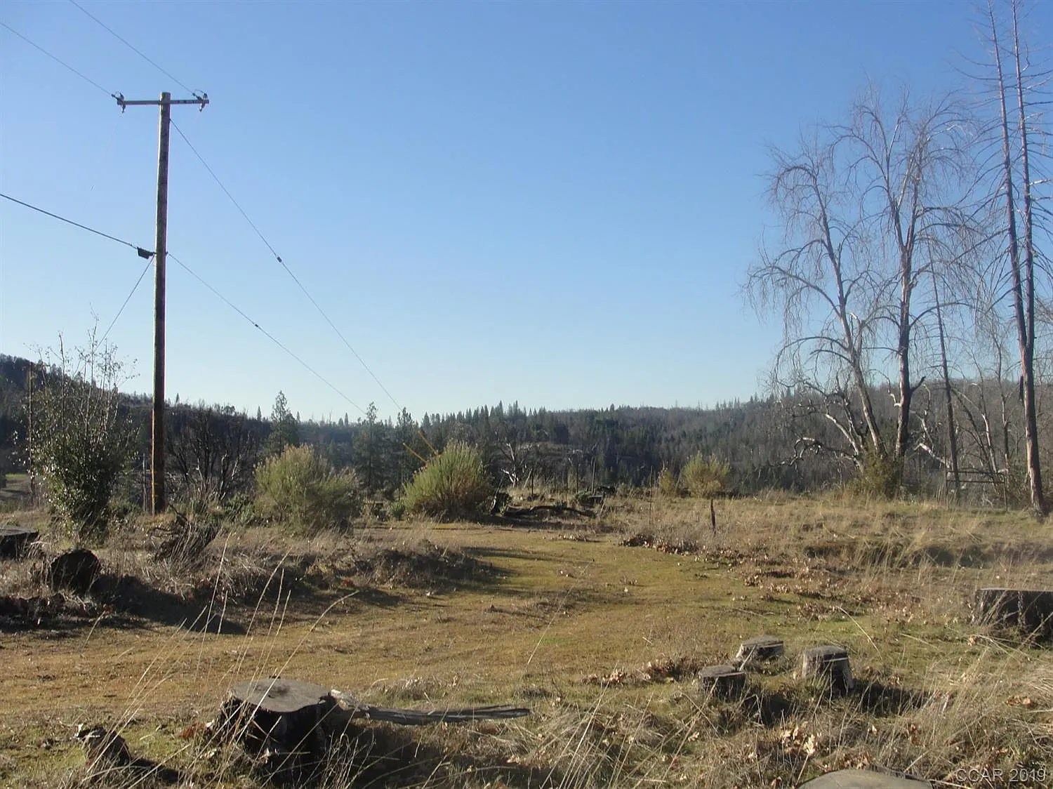 5776 Hangmans Tree photo 1