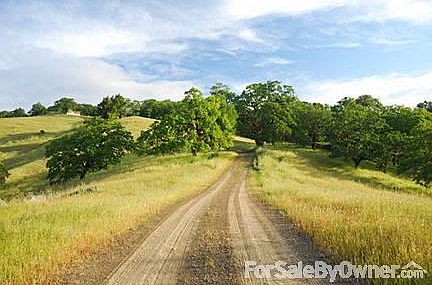 lay of the land : Driveway showing lay of land toward north.