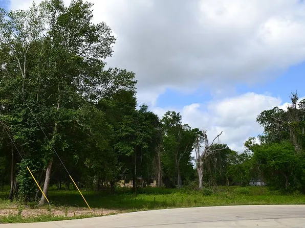 4602 Cottonwood Run, Alvin, TX 77511