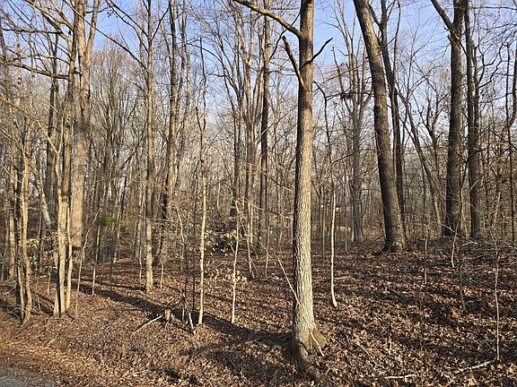 4th image of 33 Rockcastle Rd Lot 33-C1