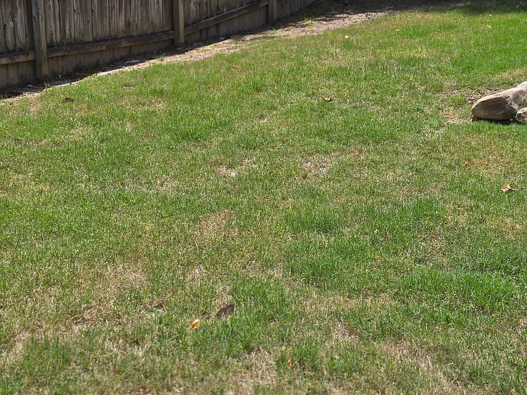 2595 Freemans Walk Dr — Photo 5