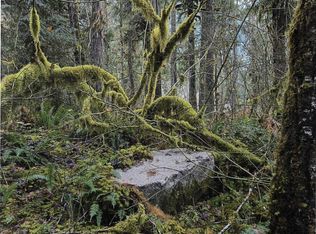 64051 E Cascade Rd, Marblemount, WA 98267