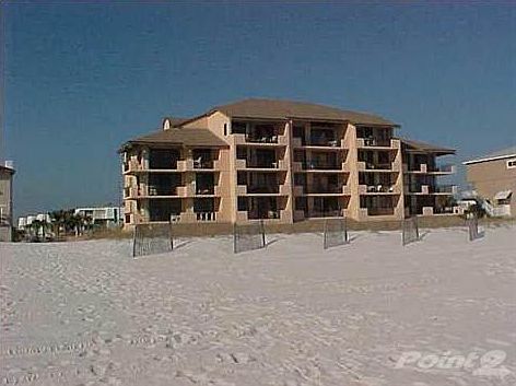 View from the Beach