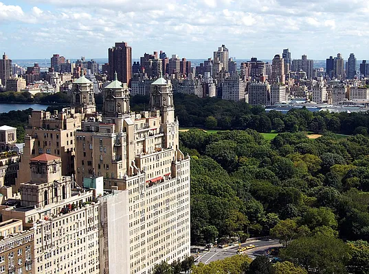 Sold by Carol E Levy | media 17