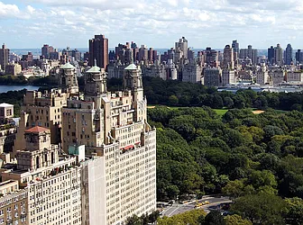 Sold by Carol E Levy