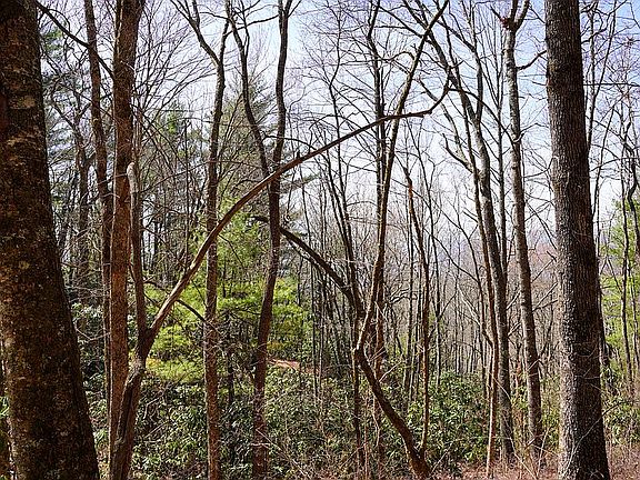 3rd image of LOTS Off Rd #106