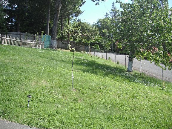 Front yard, now we have lots of fruit trees