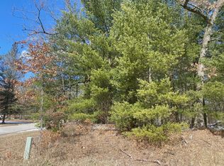 Lynn St, Baldwin, MI 49304