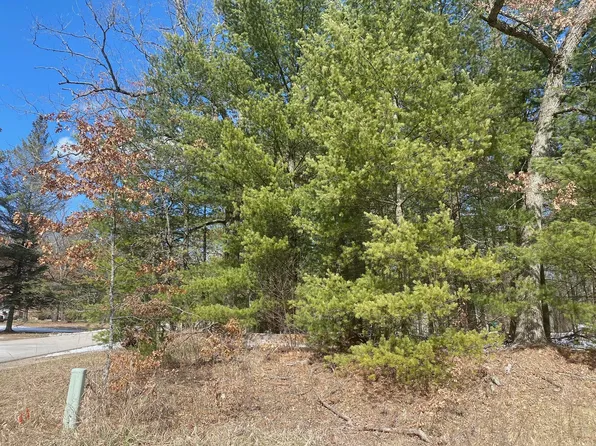 Lynn St, Baldwin, MI 49304