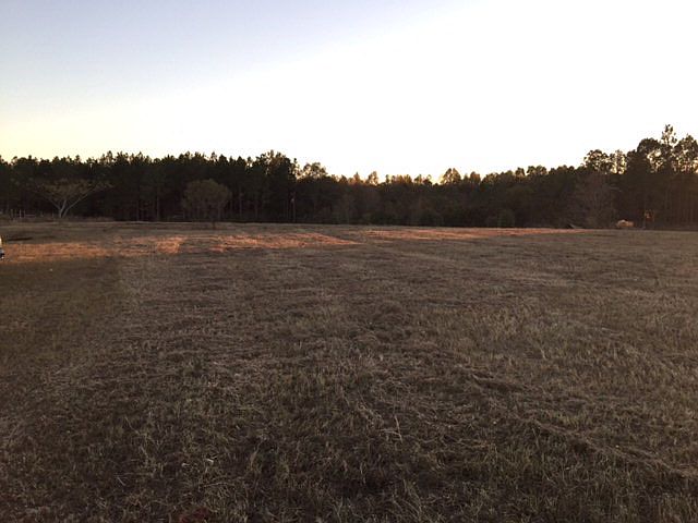 2nd image of 1546 Shingler Little River Rd