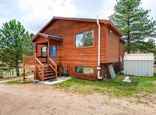38 Mesa Ct, Bailey, CO 80421