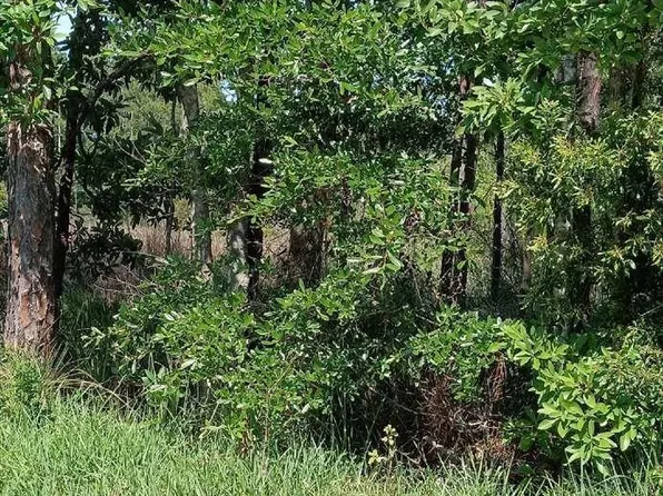 5550 Cruzat Way, Pensacola, FL 32507
