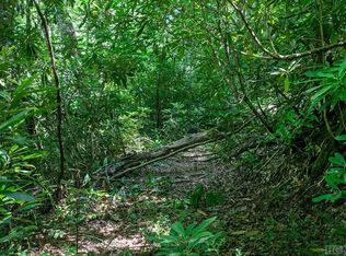 Tbd Whitewater Rd, Sapphire, NC 28774