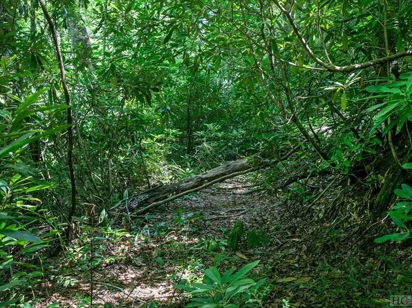 TBD Whitewater Road, Sapphire, NC 28774