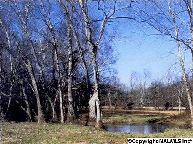 2nd image of Beaver Dam Rd