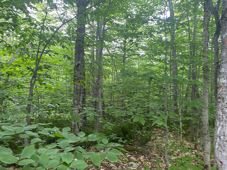 21 Stockholm Road, New Sweden, ME 04762 Zillow