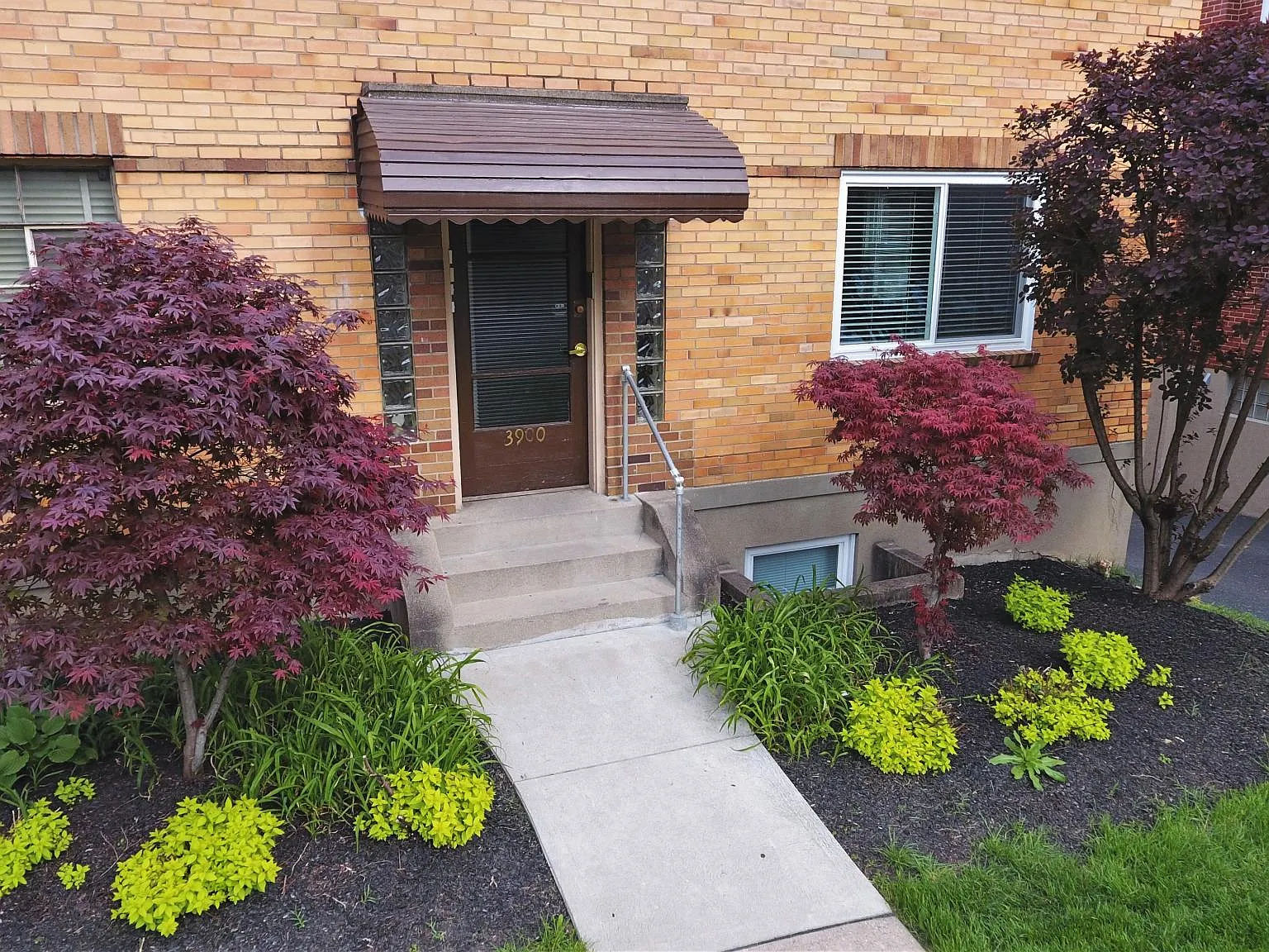 1 bed, 750 sqft, $995 — Photo 2