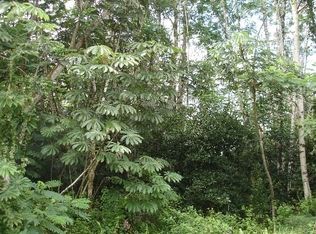21st Ave LOT 1317, Keaau, HI 96749
