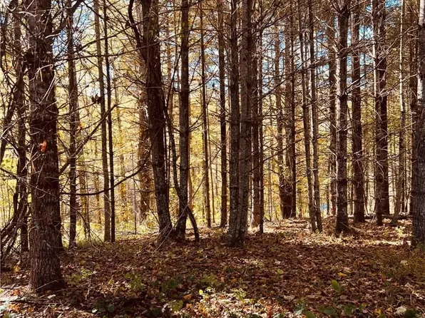 0 Sam J Byrd Rd, Burnsville, NC 28714