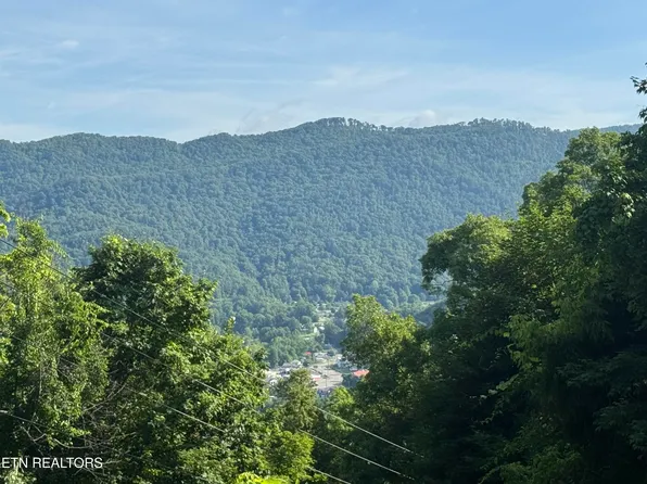 Wallens Ridge Rd, Big Stone Gap, VA 24219