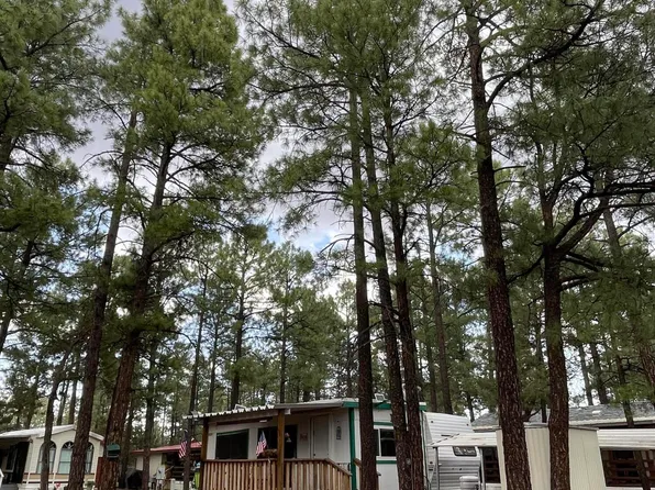 181 N 6th Dr #13, Show Low, AZ 85901