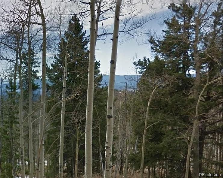 2nd image of 11173 Conifer Mountain Road