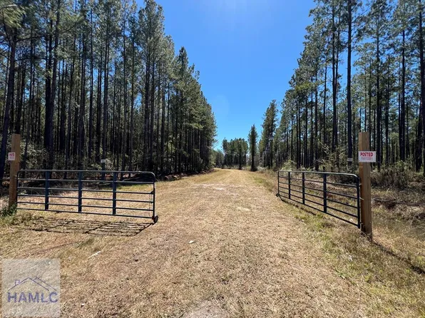1 Rye Patch Rd NE, Ludowici, GA 31316