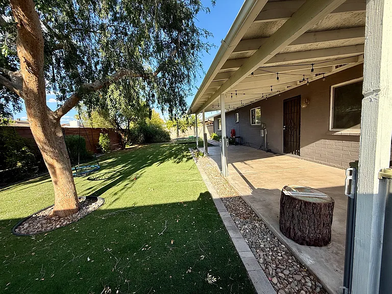 Backyard