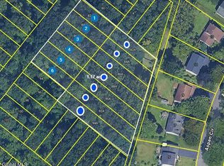 84 Oliver Avenue, Albany, NY 12203