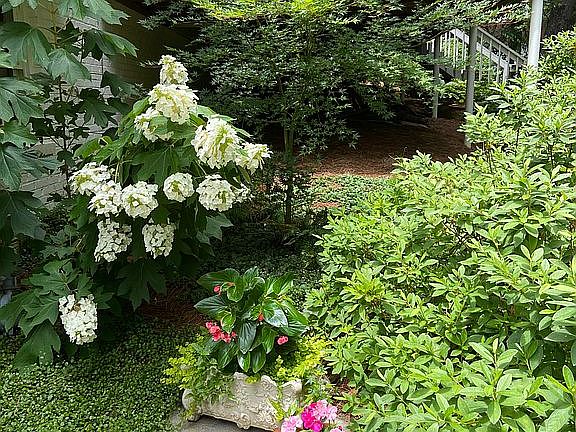 Side Yard