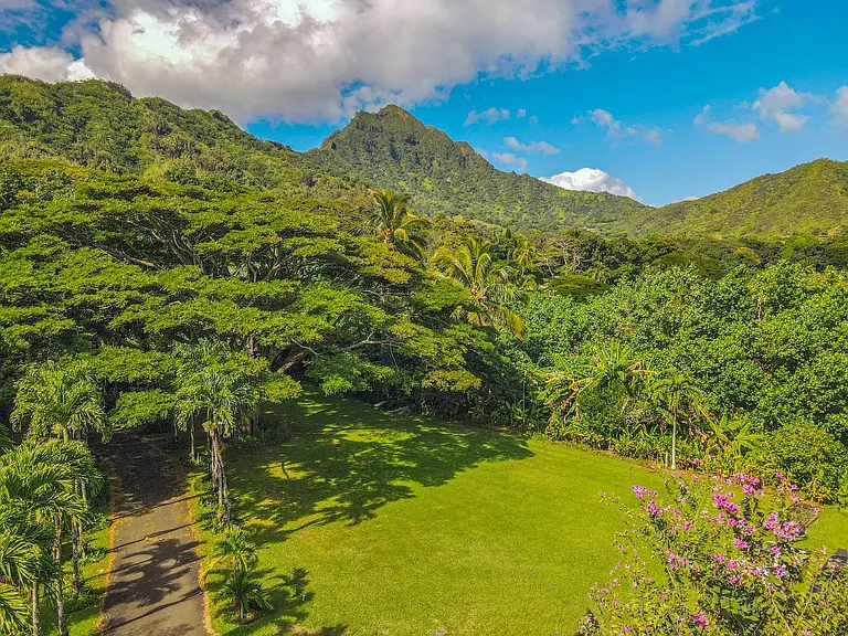 49-51 Kamehameha Hwy — Photo 9