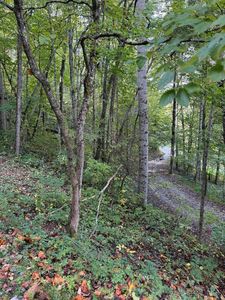 348 Parachute Ridge, Glenville, NC, 28736