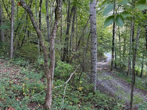 348 Parachute Ridge, Glenville, NC 28736