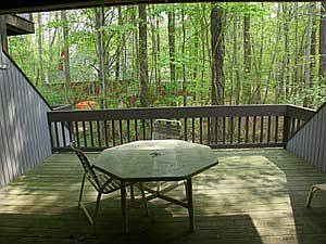 View from Deck