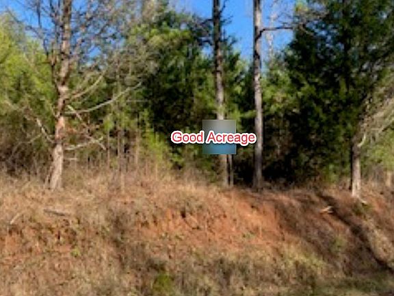 Image 2: Barb Hardin 2