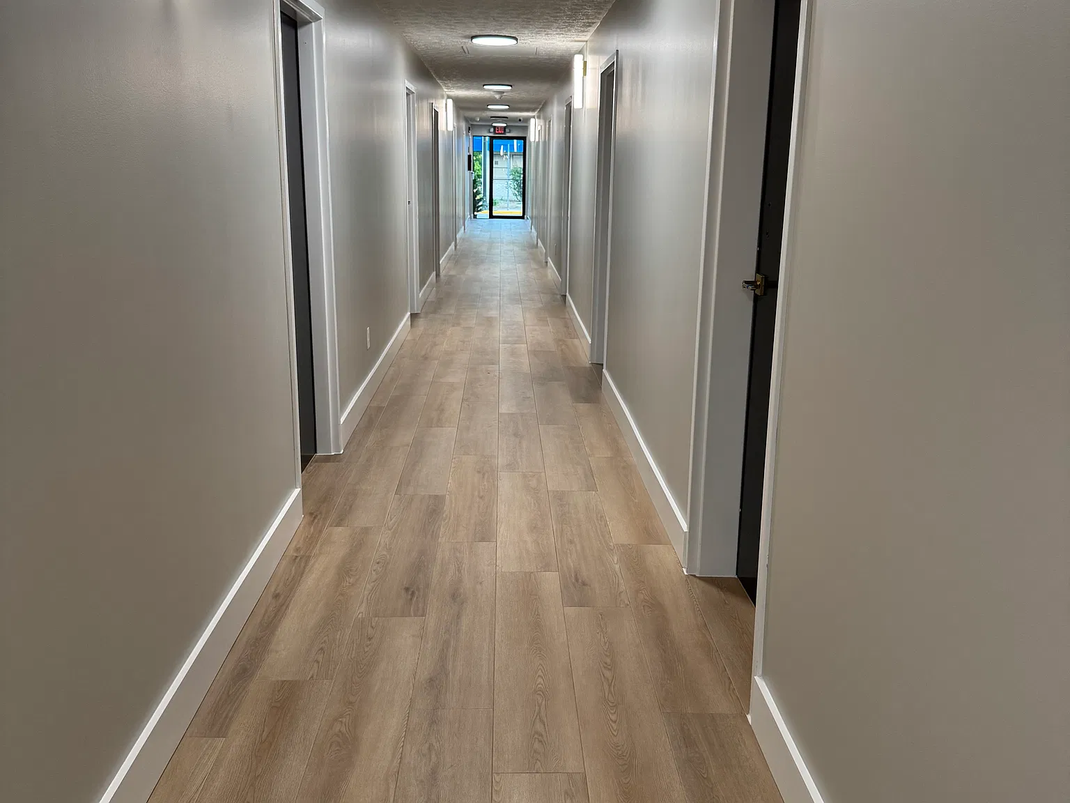 Studio, 325 sqft, $1,200 — Photo 2