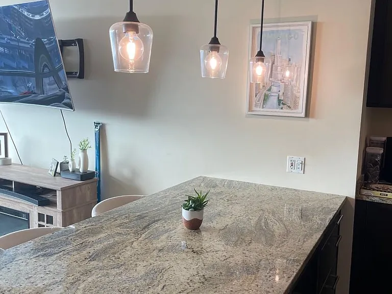 510 W Erie St #1304 — Photo 8