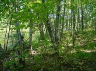 LOT 2 Lot Gunlock Lake Rd N #2, Lac Du Flambeau, WI 54538