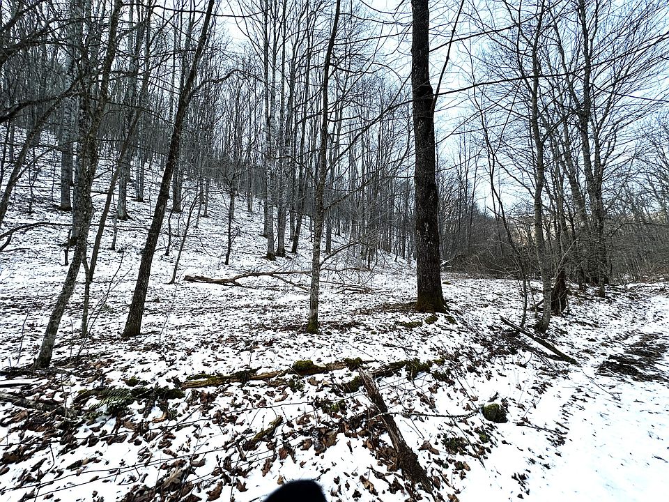 1st image of Toms Run