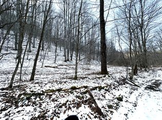 Toms Run, Renick, WV 24966