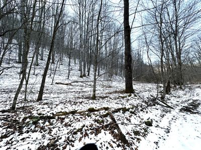 Toms Run, Renick, WV, 24966