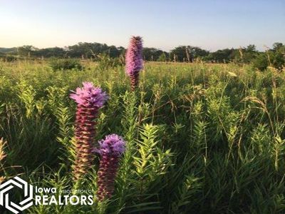 1991 Sunrise Dr, Fairfield, IA, 52556