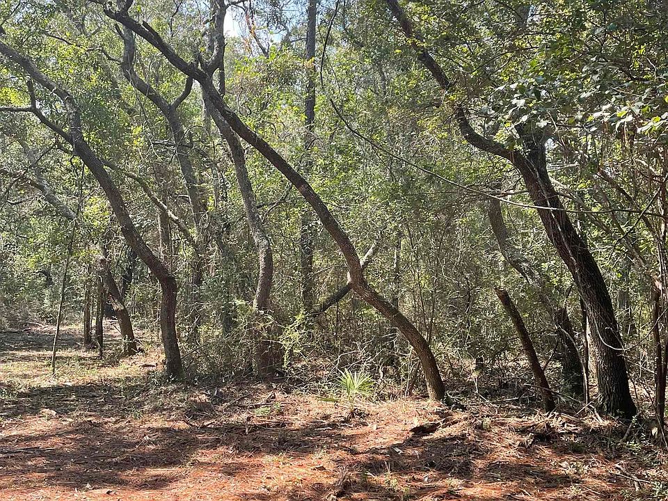 2nd image of 9847 S County Road 99 Lot 6