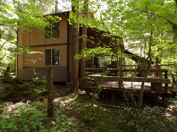Cabin #178, Cougar, WA 98616