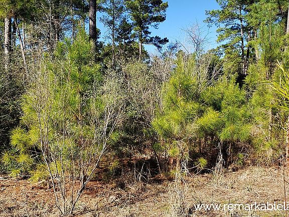 3rd image of CO Rd #3267
