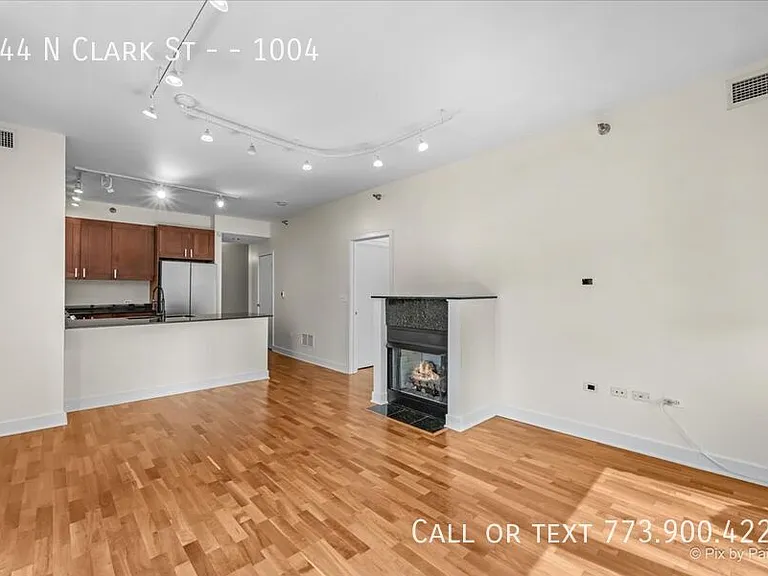 744 N Clark St #1004 — Photo 9